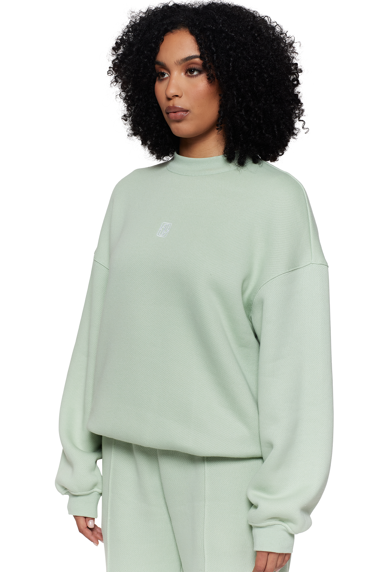 Sage Unisex Sweatshirt